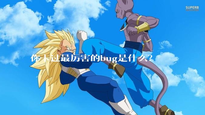 你卡过最厉害的bug是什么？