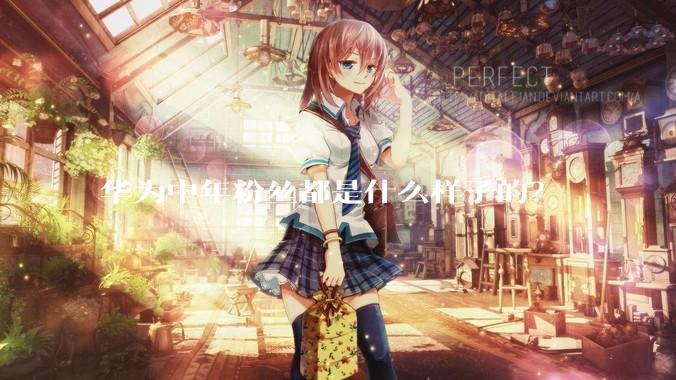 华为中年粉丝都是什么样子的？