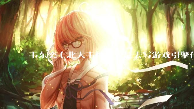 韦东奕（北大韦神）要是去写游戏引擎代码，能不能把虚幻引擎按在地上摩擦？数学好真能‘降维打击吗？