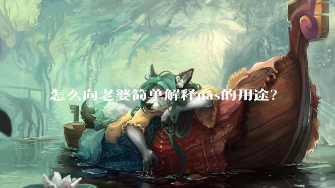 怎么向老婆简单解释nas的用途？