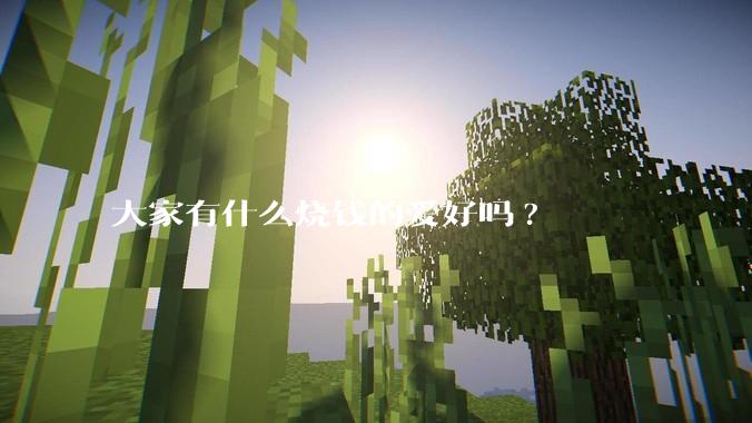 大家有什么烧钱的爱好吗?