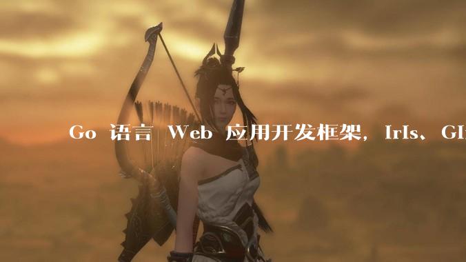 Go 语言 Web 应用开发框架，Iris、Gin、Echo，哪一个更适合大型项目？