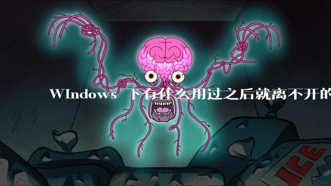 Windows 下有什么用过之后就离不开的冷门软件？