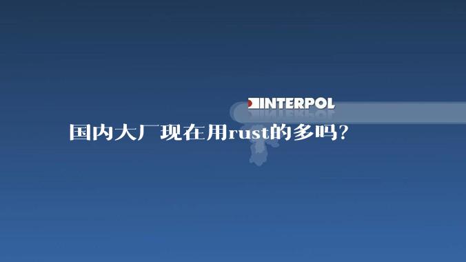 国内大厂现在用rust的多吗？