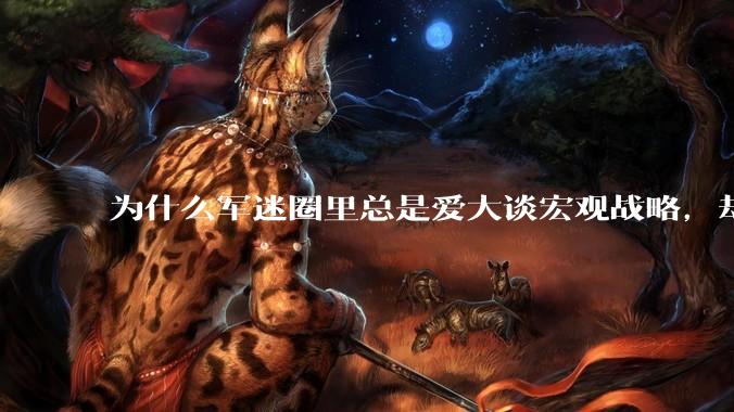 为什么军迷圈里总是爱大谈宏观战略，却很少谈战役战术？